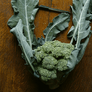 Brocoli
