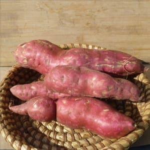 Patate douce