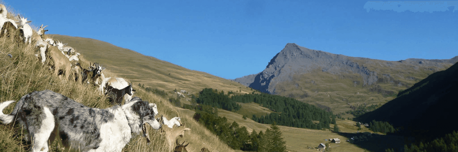 Bannière de Gaec du Lasseron - La Ferme Brunet