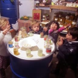 Miellerie "A Travers Champs" #4