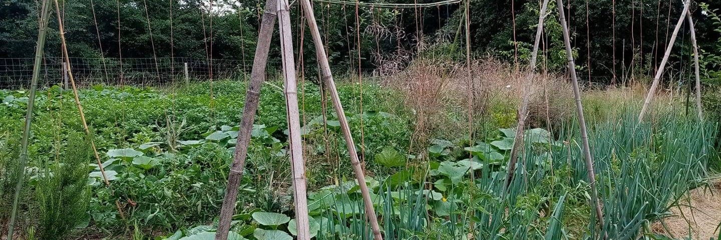 Bannière de La ferme de Ricouch