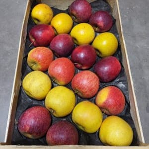 Mélange de Pommes de Table - AB et Demeter - Plateau 4Kg