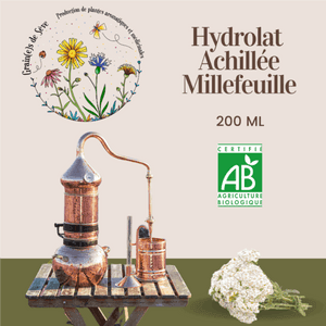 Hydrolat d'Achillée millefeuille