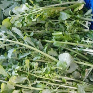 Roquette