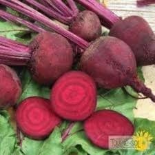 Betterave