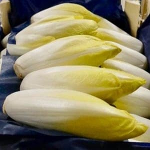 Endive
