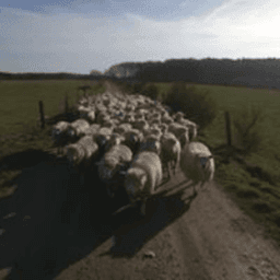 Bergerie la Courte Botte #8