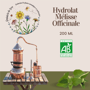 Hydrolat de Mélisse
