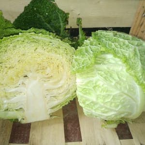 Choux frisé