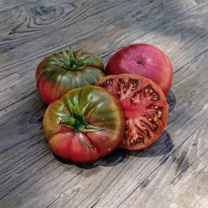 Plant de tomate Black from Tula