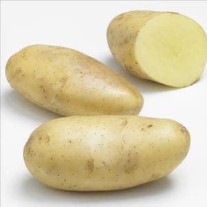 Pomme de Terre Spunta