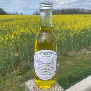 Sirop de safran 250ml