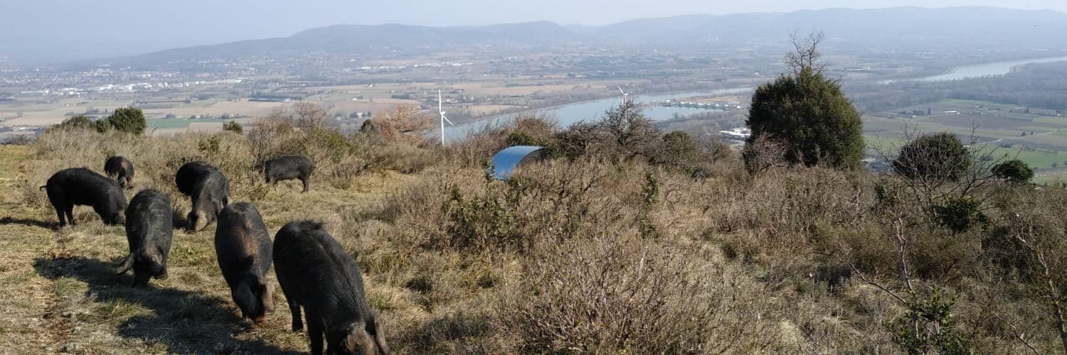Bannière de GAEC Ferme du plateau des soies