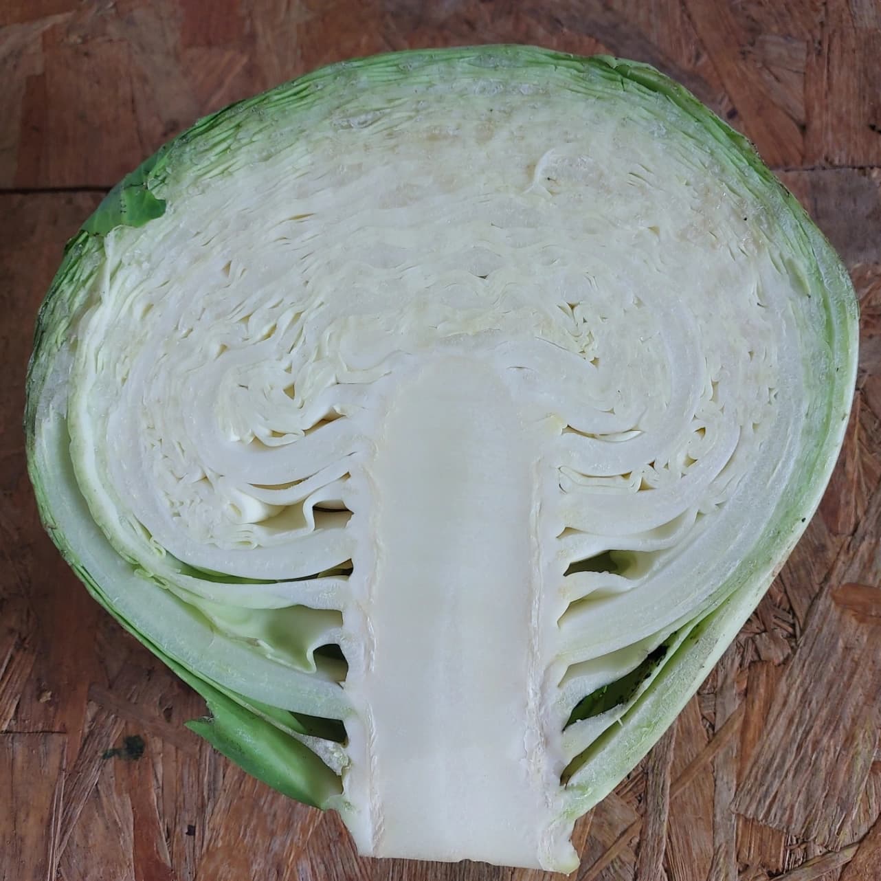 Chou pomme lisse blanc 1/2