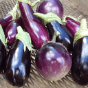 Aubergine