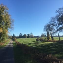 Les Jardins des Fougères #6