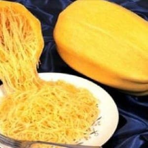 Courge spaghetti 