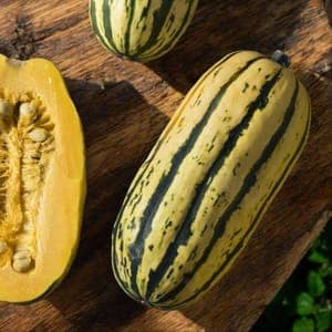 Courge Délicat (swwet potato)
