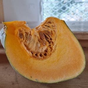 Courge bleue  de hongrie