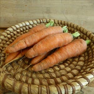 Carottes vrac
