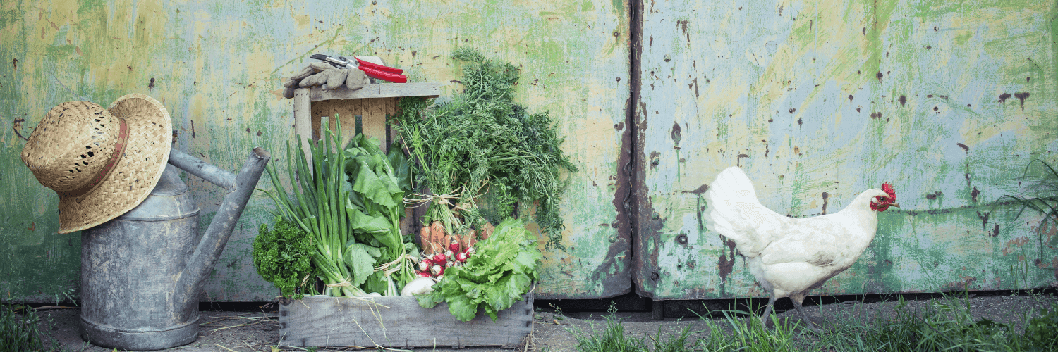 Bannière de Jardin de la Cagette