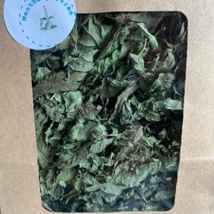 Plante pour infusion : Menthe poivrée