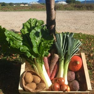 Panier de légumes à 20€