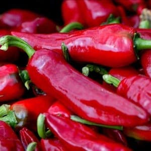 Piments type Espelette (variété Gorria) - Echelle de Scoville 4