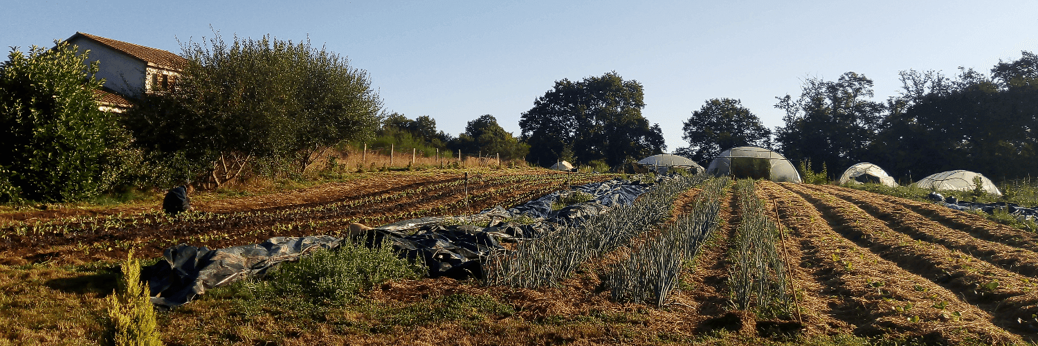 Bannière de Le Jardin de la Canopée