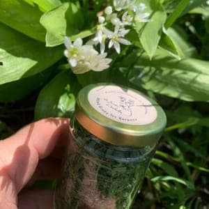 Aromates : ail des ours