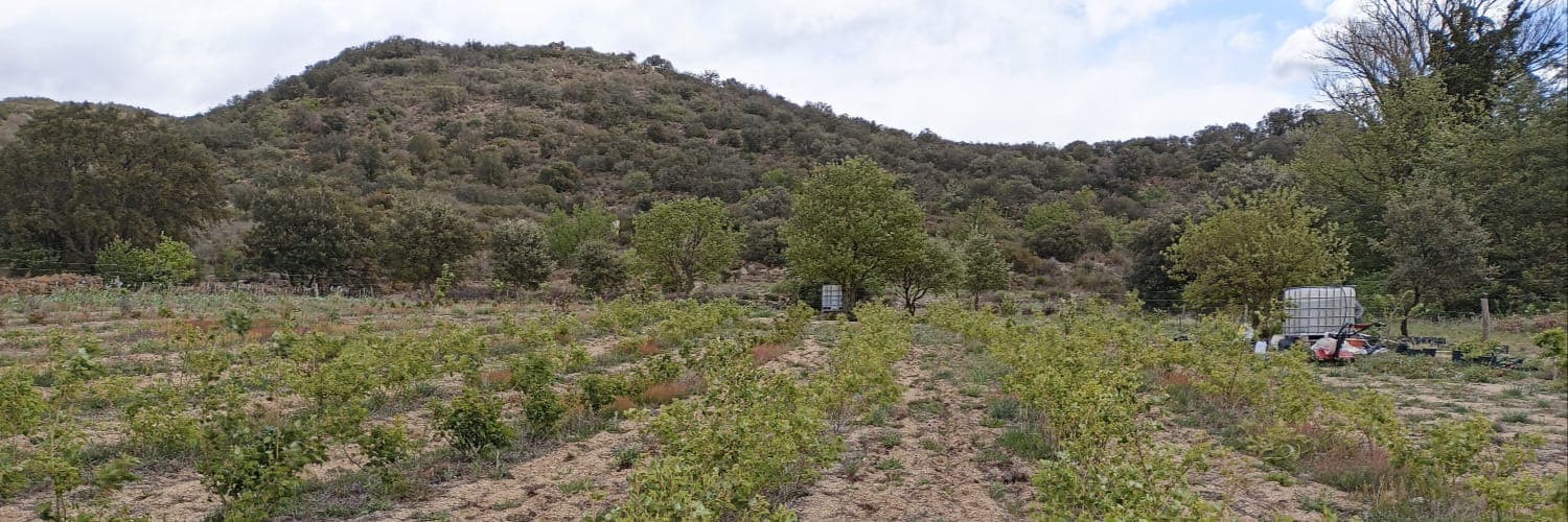 Bannière de Kaïna peps