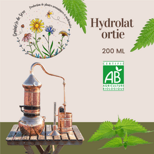 Hydrolat Ortie