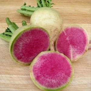 Radis d'hiver Red Meat**