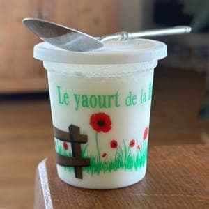 Yaourt chèvre très doux nature non sucré