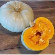 Courge Bleu de Hongrie