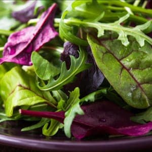 bouquet de mesclun aux verdures corsées