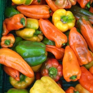 Poivrons de couleurs