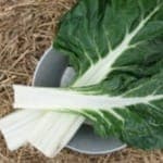 Plant de Blette blanche d'Ampuis