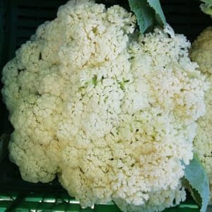 Chou fleur