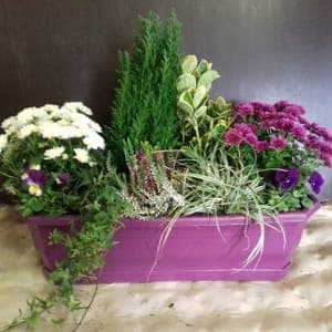 Jardinière 50 cm : 8 plantes