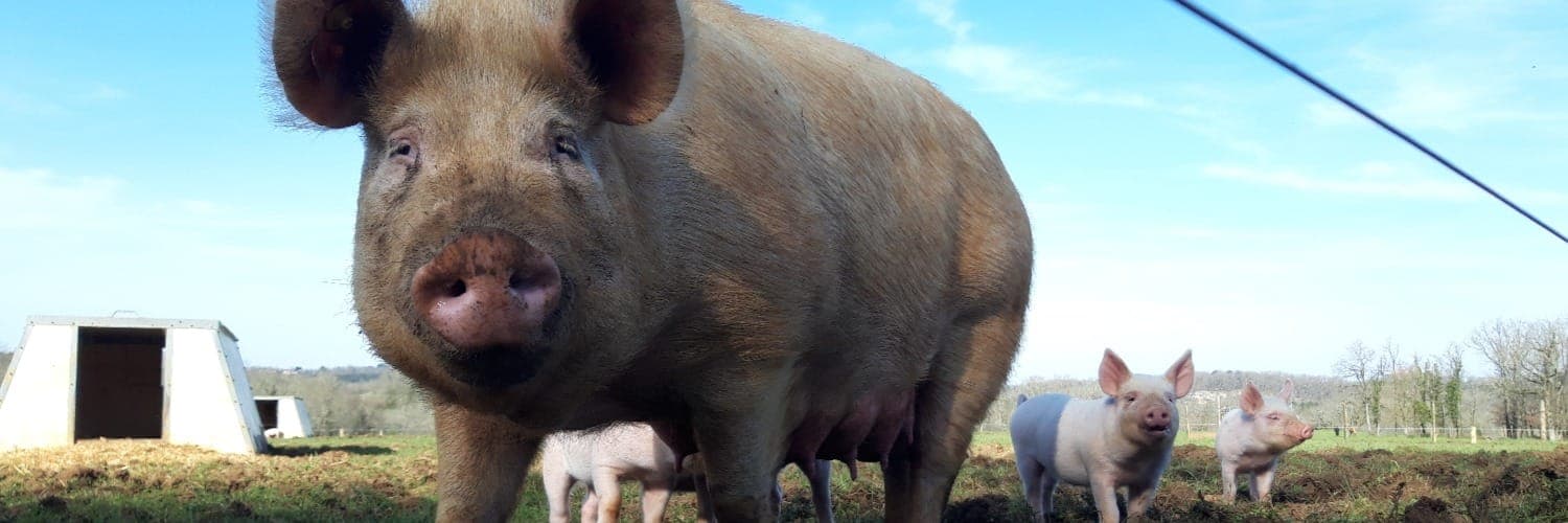 Bannière de Les Causses de Cesserou