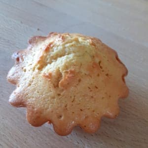 MADELEINE CHOCOLAT NOIR 100g
