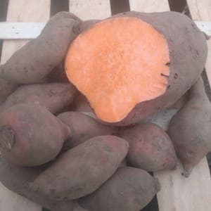 Patate douce déclassée (petites ou recoupées)