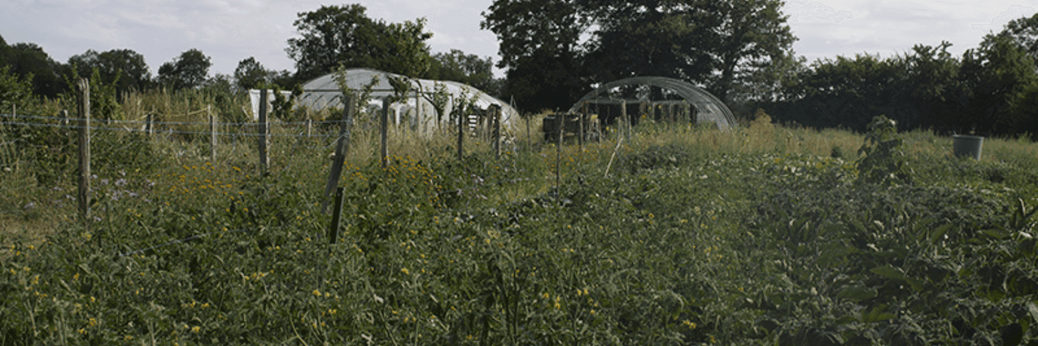 Bannière de Philippe Lefrançois