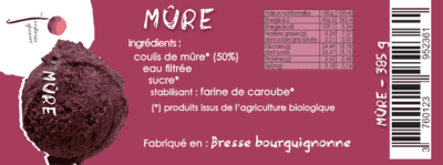 SORBET PLEIN FRUIT MURE 516ML