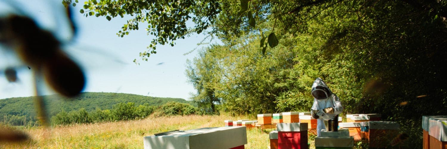 Bannière de L'Abeille Gaillarde
