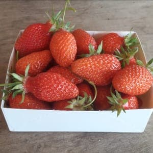 Fraises gariguette et charlotte