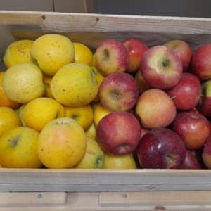 POMME BIO Mélange DALINETTE+GOLDRUSH