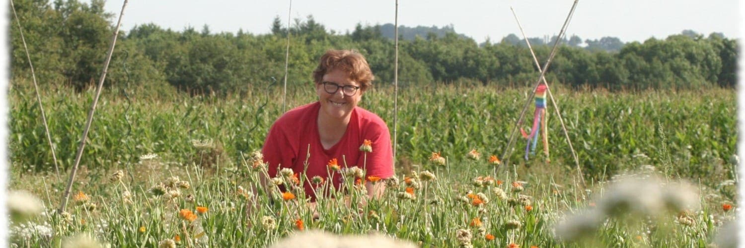 Bannière de Pense aux baumes