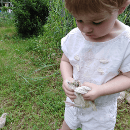 LE PIGEONNIER ARVERNE #8